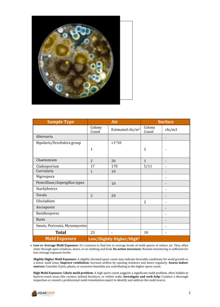 Mold-Assess - HearCozy